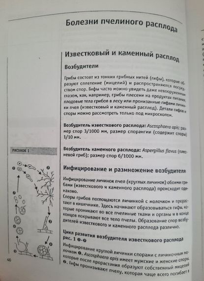 Книга “Хвороби бджіл” Фрідріх Поль | Зображення 4