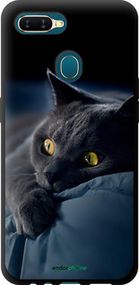 Чохол на Oppo A12 Димчастий кіт "825b-2557-2448"