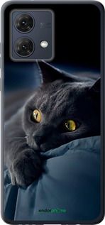 Чохол на Motorola Moto G84 Димчастий кіт "825u-3344-2448"