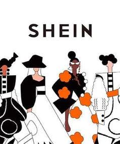 SHEIN Gift Card 25 USD - Key - GCC