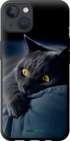 Чохол на iPhone 13 Димчастий кіт "825b-2374-2448"