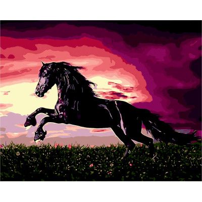 Картина по номерам ZiBi Черный красавец 40*50 см ART Line (ZB.64249) - Топ Продаж!