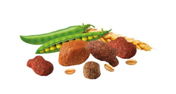 Сухий корм із рибою для собак Brekkies Dog Delice Fish, 2.7 кг | Зображення 3