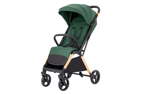 Коляска прогулянкова CRL-5523 "Cross" Parrot Green CARRELLO | Зображення 2