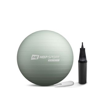 Фітбол Hop-Sport 45см шавлієвий + насос
