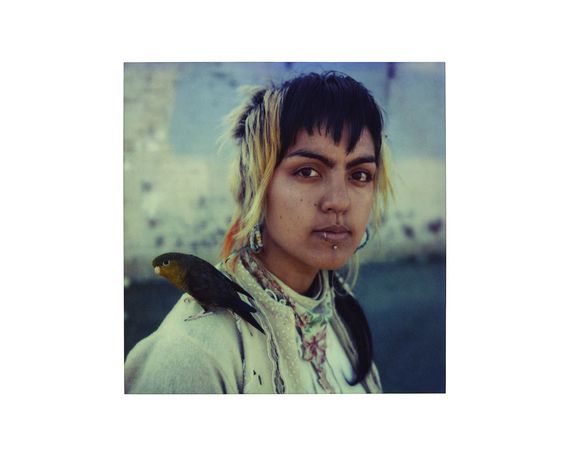 Подарочная книга для фотографов по фотографии Mike Brodie:Tones of Dirt and Bone книги о фотографах Майк Броди | Зображення 6