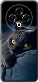 Чохол на Tecno Spark 30 4G Димчастий кіт "825u-3894-2448"