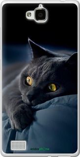 Чохол на Huawei Honor 3C Димчастий кіт "825u-307-2448"