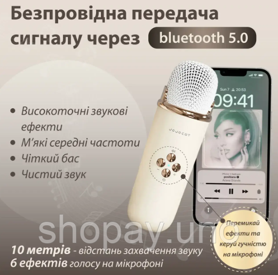 Акустична система «RETRO» з мікрофоном ∙ Бездротова портативна Bluetooth колонка на акумуляторі ∙ Міні-караоке | Зображення 2