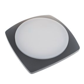 Светильник LED фасадний IP54 AL-262/20W