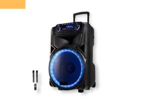 Портативна колонка XPRO SK-015 валіза 250Вт, USB, SD, FM радіо, Bluetooth, 2 мікрофони, ДК (41185-SK-015)