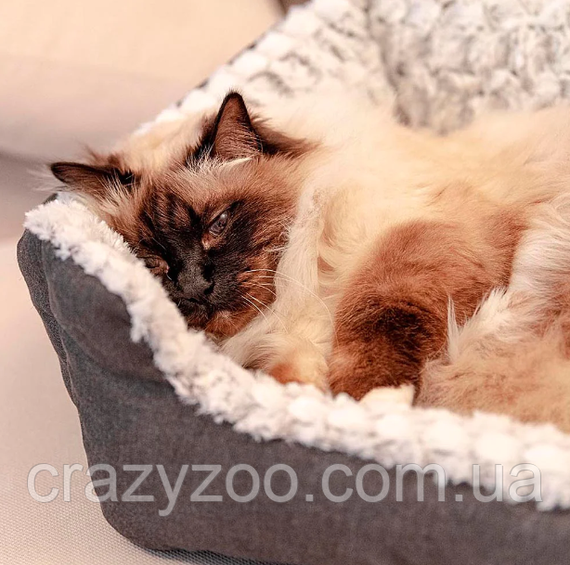 Лежак для собак и котов Ferplast Sweetie 45 с искусственным мехом серый 48x37x16 см 81064499 | Зображення 3