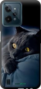 Чохол на Realme C31 Димчастий кіт "825b-2593-2448"