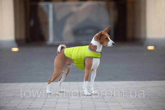 Курточка-накидка для собак AiryVest, L, B 58-70 см, С 42-52 см салатовый | Зображення 5