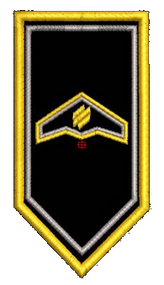 Шеврон РЗ Крила ОП