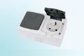 Переключатель+розетка WF-1V2+1RZ Water FORA