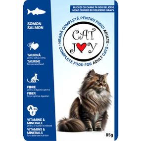 Cat Joy з лососем в соусі, 85 г , пауч, 24шт/уп, ціна за шт.