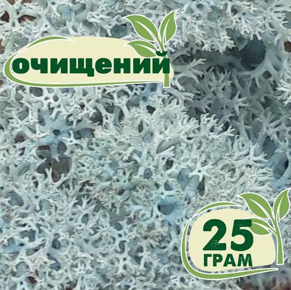 Очищений стабілізований мох ягель Крижаний блакитний 25 грам