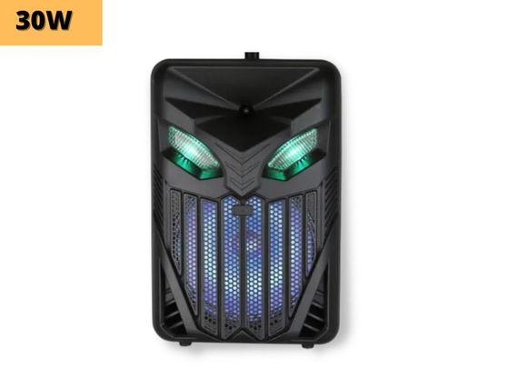Портативна колонка бумбокс XPRO RX-1225C валіза 30Вт, USB, SD, FM радіо, Bluetooth, 1 мікрофон, ДК (MER-15656) | Зображення 1
