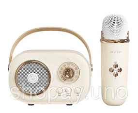 Акустична система «RETRO» з мікрофоном ∙ Бездротова портативна Bluetooth колонка на акумуляторі ∙ Міні-караоке