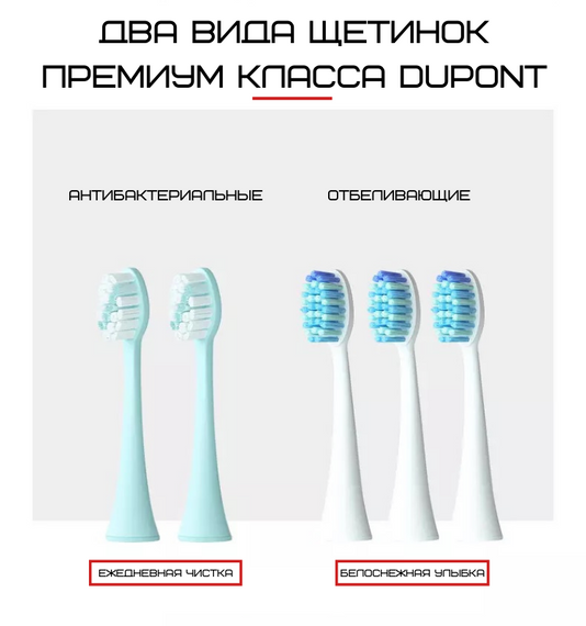 Звуковая Зубная Щетка Электрическая Seago Sonic SG972 Взрослая Градиент | Зображення 1