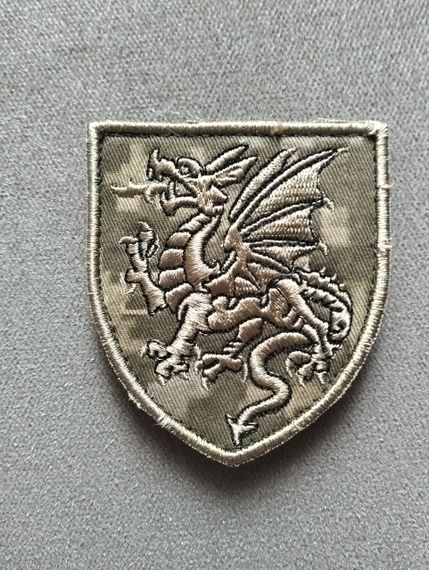 Шеврон 107 реактивна артилерійська бригада (піксель)
