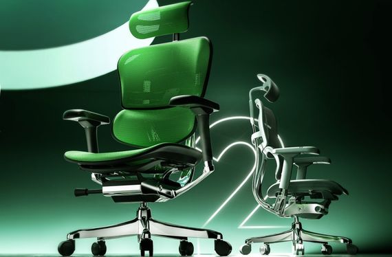 Кресло компьютерное ERGOHUMAN ELITE 2 (EHE2-AG-HAM-5D-L) сетка T-168-B6 GREEN | Зображення 2
