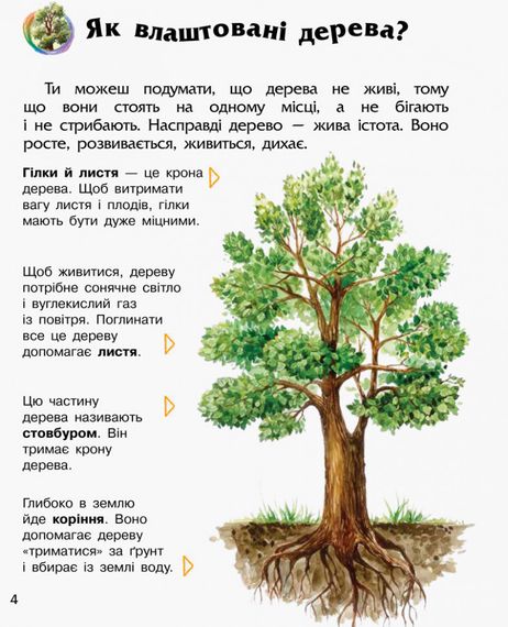 Дитяча енциклопедія про ліс 614016 для дошкільнят | Зображення 4