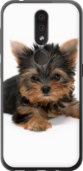 Чехол на Nokia 4.2 Щенок йоркширского терьера "931u-1680-17620"