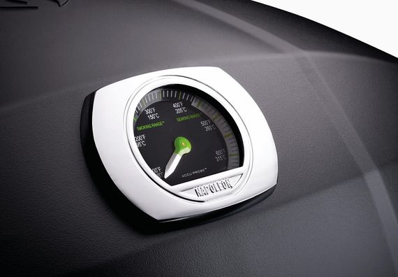 Електричний гриль TravelQ PRO285E Napoleon PRO285E-BK-BK-CE Код: 005746