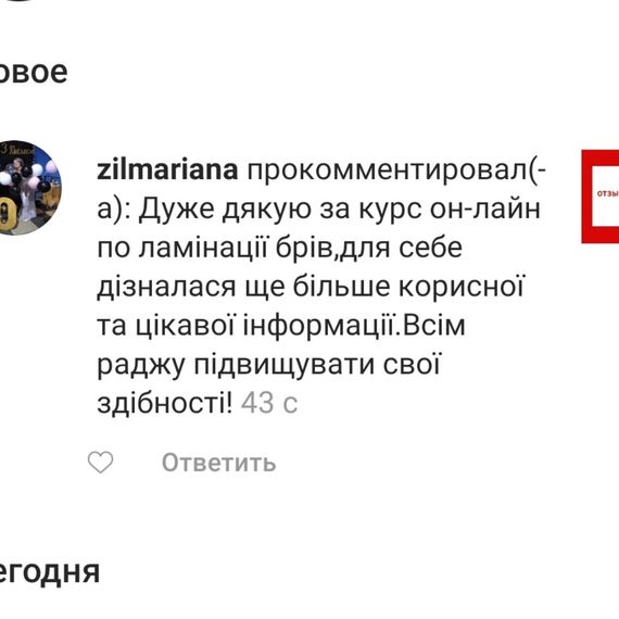 Онлайн  курс по бровям  "Ламинирование бровей" 12 уроков | Зображення 4