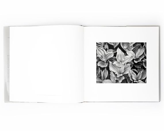 Подарункова книга для фотографів роботи Джона Секстона John Sexton "Recollections" пейзажна фотографія книги | Зображення 5