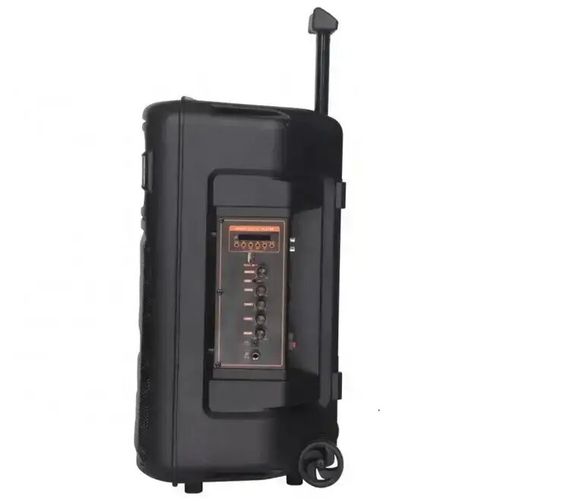 Акустична система XPRO GZ-P12 12 чорний (MER-15681_3042) | Зображення 4