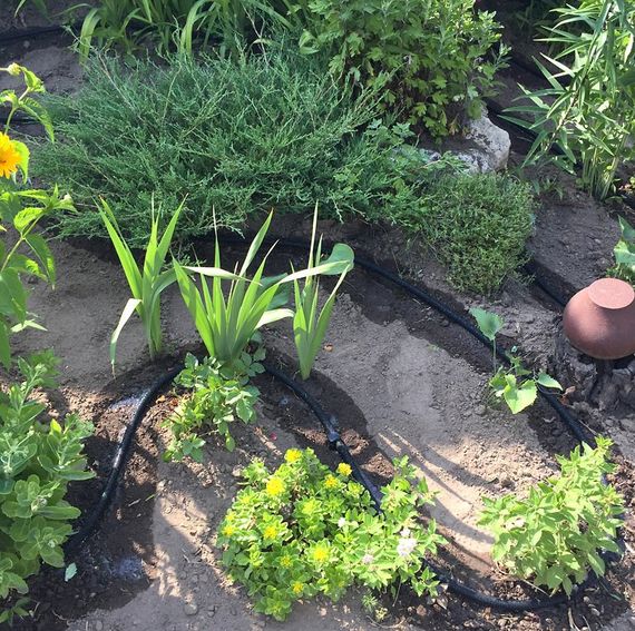 Шланг що сочиться Bradas AQUA-DROP FLAT 1/2" – 7,5 м WADF1/2075 | Зображення 1