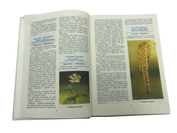 Книга «Атлас медоносних рослин України» Л.І. Бондарчук, 1993 (на украинском языке) | Зображення 2
