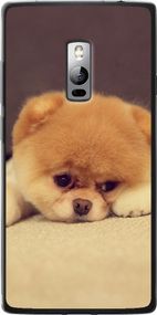 Чехол на OnePlus 2 Boo 2 "890u-386-17620"