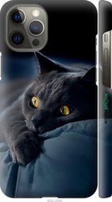 Чохол на iPhone 12 Pro Max Димчастий кіт "825m-2054-2448"