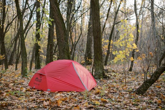 Намет Tramp Cloud 3 Si TRT-094-red червоний | Зображення 4