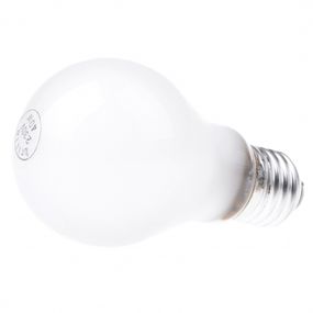 Лампа накаливания 40W E27 WW A60 FR Br 220V