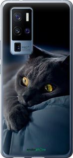 Чохол на Vivo X50 Pro Plus Димчастий кіт "825u-2056-2448"