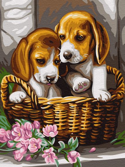 Собачки в корзине