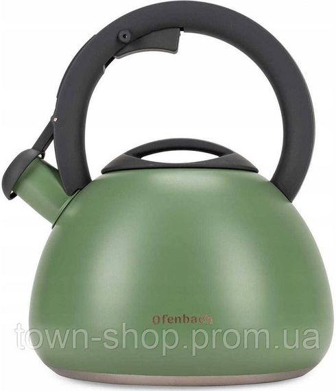 Чайник Ofenbach Green 2.7л нержавеющая сталь, со свистком, зеленый матовый NB-100323 | Зображення 1