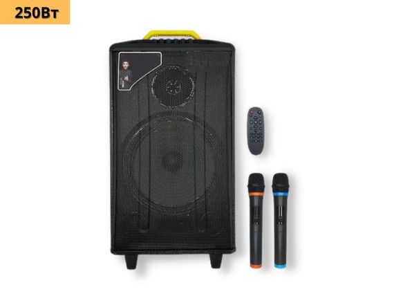 Портативная колонка XPRO QX-1214 чемодан 250Вт, USB, SD, FM радио, Bluetooth, 2 микрофона, ДУ (41184-QX-1214) | Зображення 1