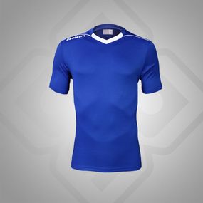 Футболка BestTeam SC-13085RBW голубая