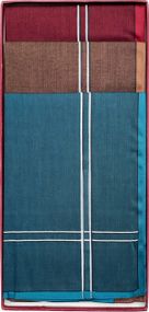 Чоловічі бавовняні носові хустинки Guasch 104.96 D.04