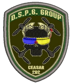 Шеврон D.S.P.S. Group Ceasar 202