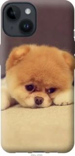 Чохол для Apple iPhone 14 з силікону FCh_037122