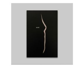 Книга Sara Punt - Bare (Signed, numbered + print)