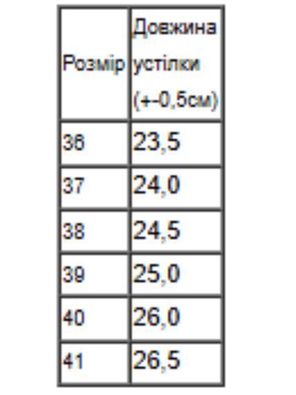 Кросівки жіночі Носи своє 40 Сірий (p-16741-193556) | Зображення 1