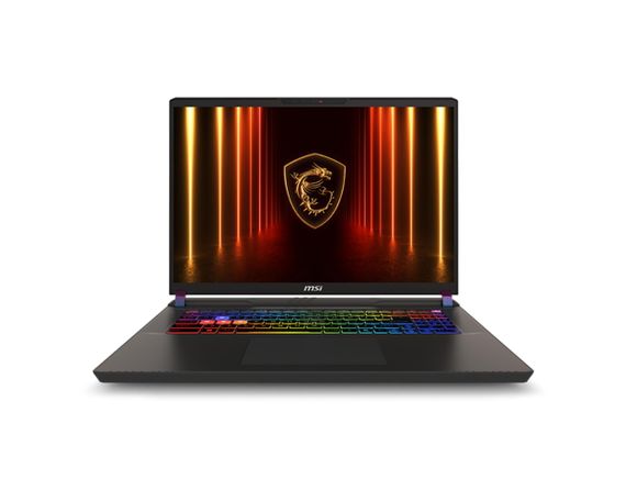 Ноутбук MSI Vector 17 HX AI A2XWIG-043UA 17&quot; QHD+ 240Hz 9S7-17S372-043